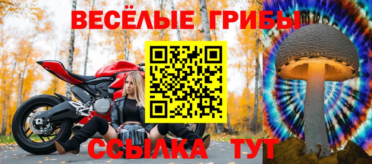 Галлюциногенные грибы мицелий  Вход с VPN  Новомосковск 