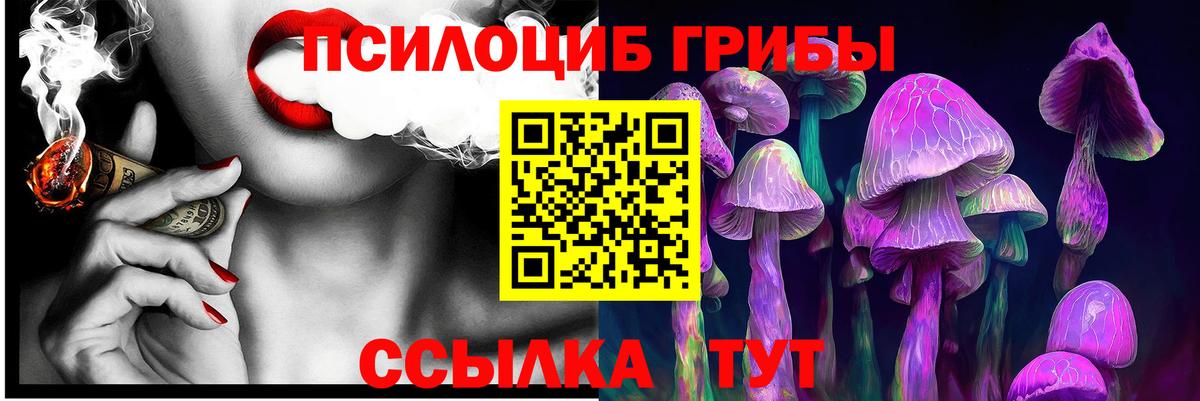 Галлюциногенные грибы MAGIC MUSHROOMS Новомосковск